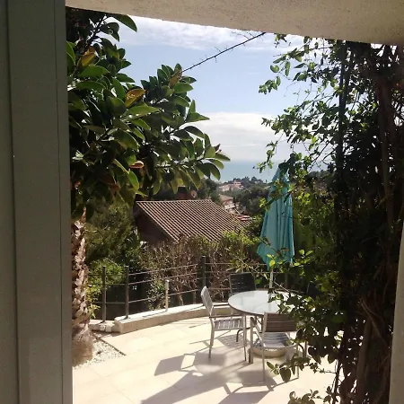 Buganvillas *