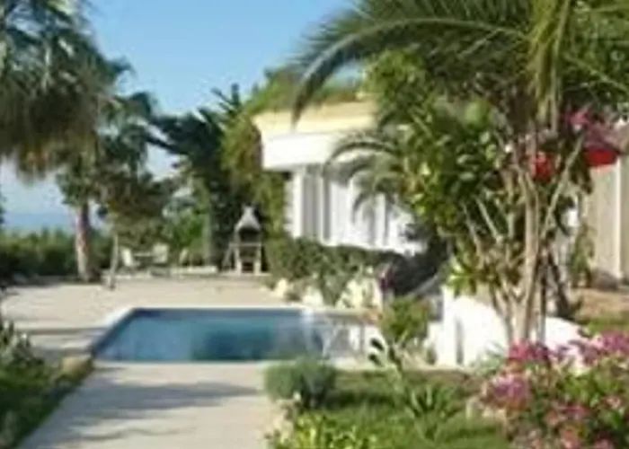 Buganvillas *