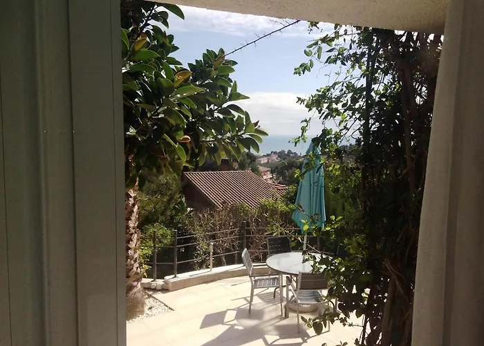 Buganvillas *
