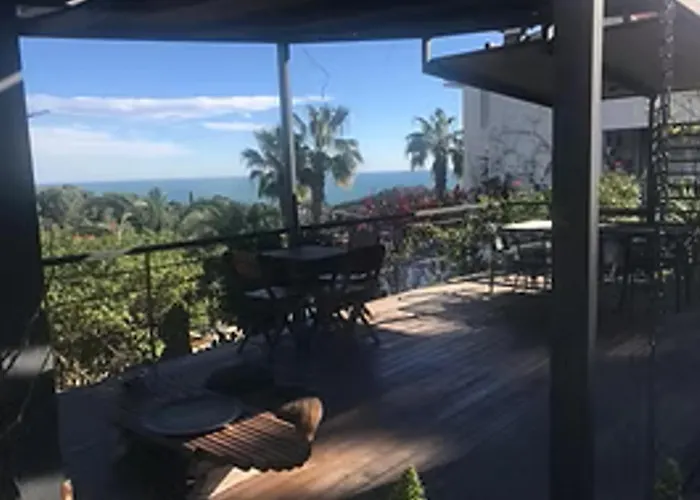 Buganvillas