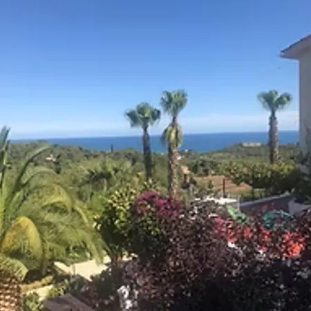 Buganvillas
