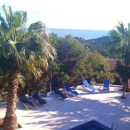 Buganvillas