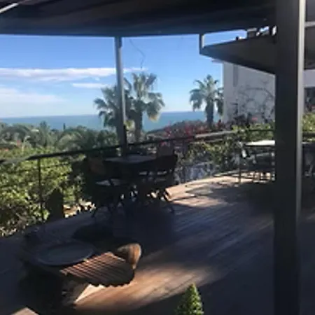 Buganvillas