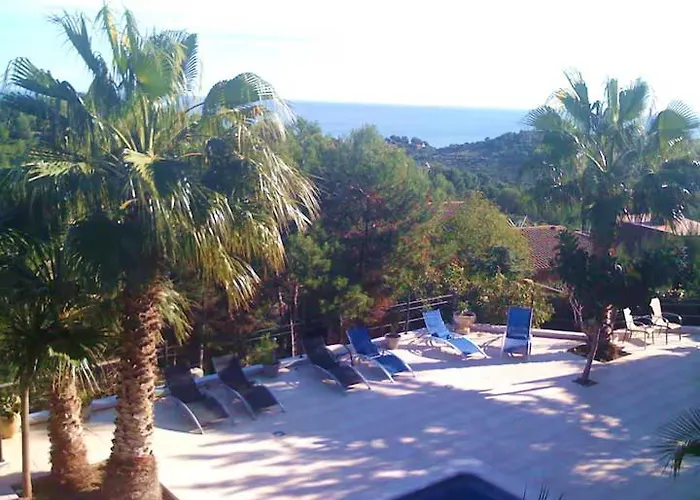Buganvillas